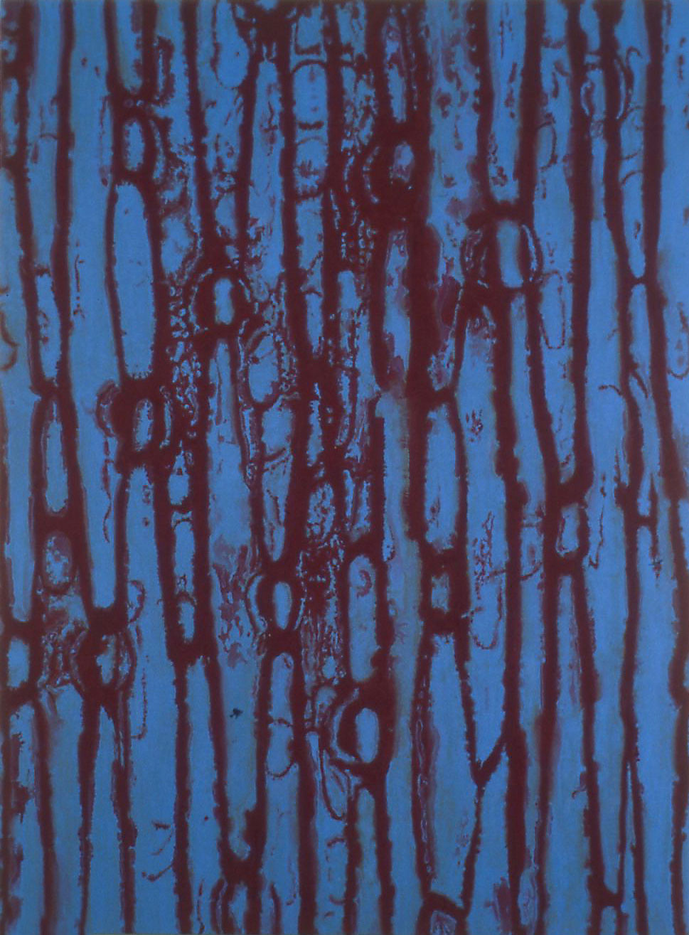 79a. Acrylic on board, 24 x 18 inches, 1998, collection of Thomas Isenberg